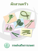 ผักสวนครัว